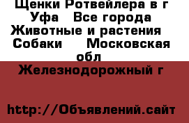 Щенки Ротвейлера в г.Уфа - Все города Животные и растения » Собаки   . Московская обл.,Железнодорожный г.